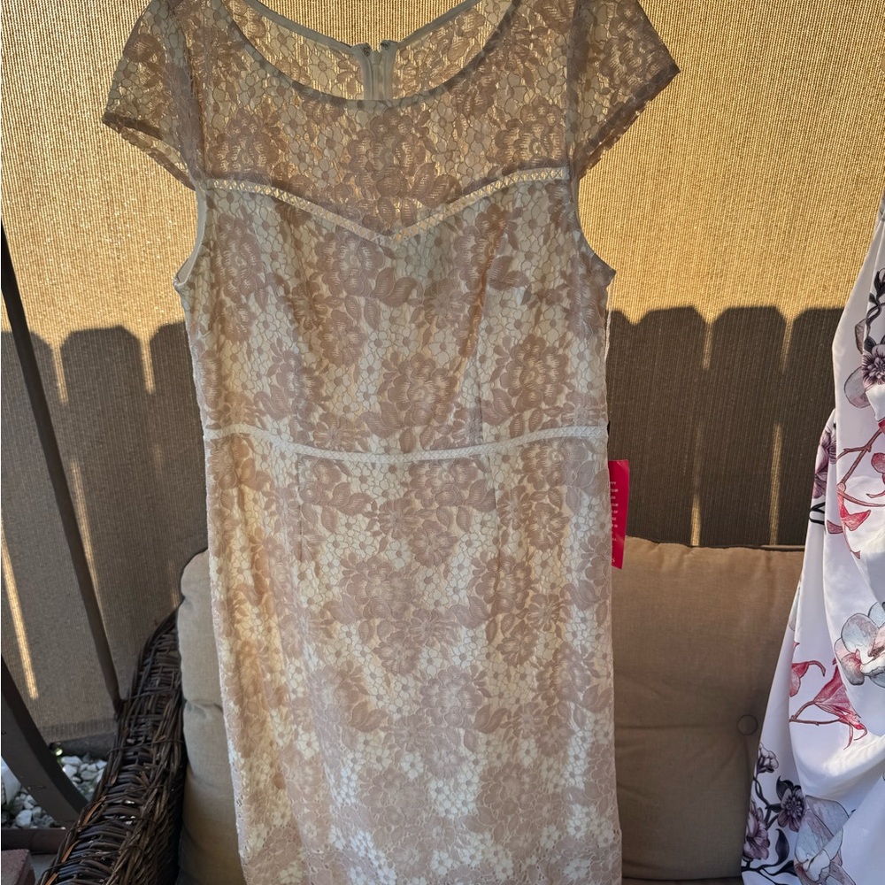 Adrianna Papell Cream and Gold Sheath Dress for Wedding